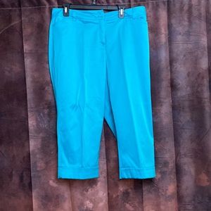 Beautiful turquoise blue crop